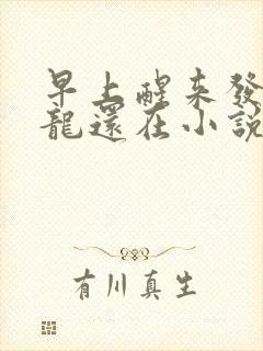 早上醒来发现巨龙还在小说