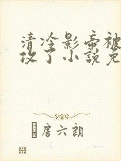 清冷影帝被老丑攻了小说免费阅读封面