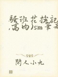 骚班花挨记(h,高肉)sm笔趣阁