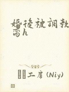 婚后被调教成禁脔h