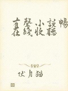 有声小说畅听网在线收听