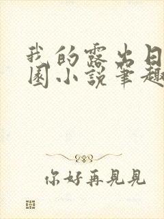 我的露出日记校园小说笔趣阁封面