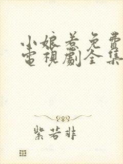 小娘惹免费观看电视剧全集