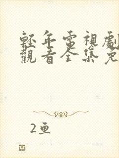 轻年电视剧在线观看全集免费下载