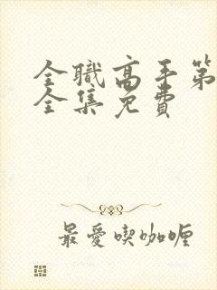 全职高手第一季全集免费