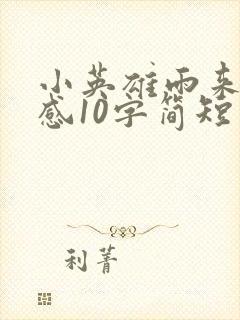 小英雄雨来读后感10字简短封面