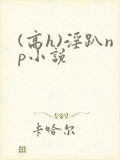 (高h)淫趴np小说