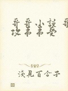 哥哥小说 哥哥攻弟弟受