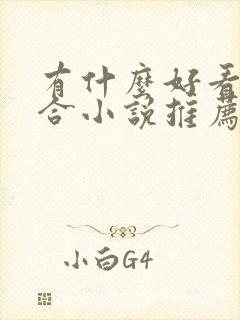 有什么好看的百合小说推荐