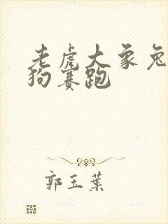 老虎大象兔子小狗赛跑