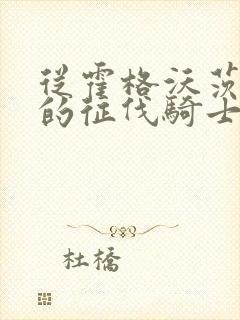 从霍格沃茨走出的征伐骑士笔趣阁封面