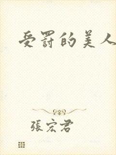 受罚的美人训诫封面