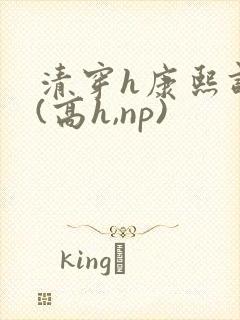 清穿h康熙调教(高h,np)