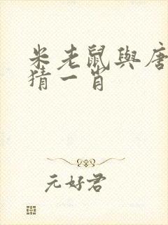 米老鼠与唐老鸭猜一肖