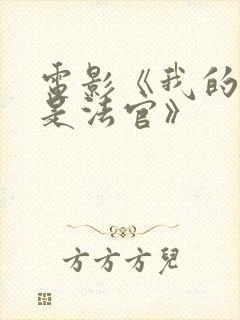 电影《我的姐姐是法官》