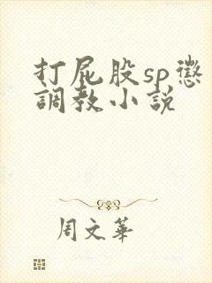 打屁股sp惩罚调教小说