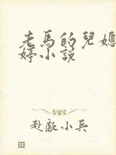 老马的儿媳顾婉婷小说