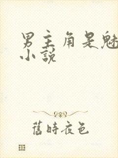 男主角是魅魔的小说