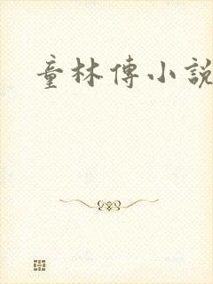 童林传小说