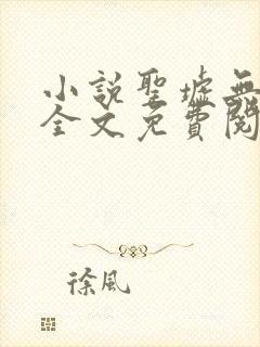 小说圣墟无弹窗全文免费阅读封面