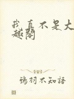 我真不是大佬笔趣阁