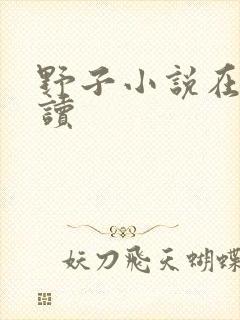 野子小说在线阅读封面