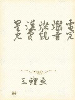 星汉灿烂电视剧免费观看完整版