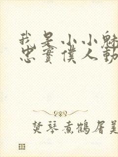 我是小小魅族的忠实仆人动漫