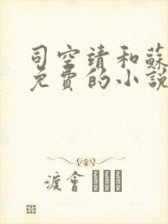 司空靖和苏月汐免费的小说最新章节