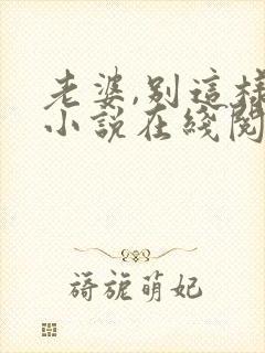 老婆,别这样 小说在线阅读