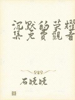 沉默的荣耀第二集免费观看封面