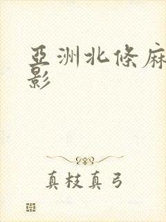 亚洲北条麻纪电影封面