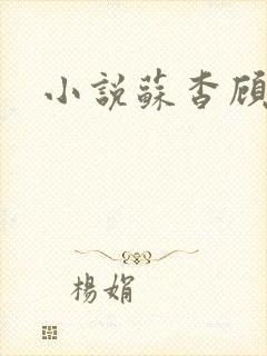 小说苏杳顾君亦