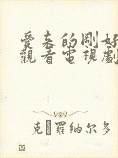 爱来的刚好免费观看电视剧全集