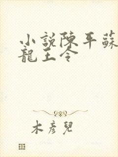 小说陈平苏雨琪龙王令封面