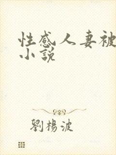 性感人妻被强上小说