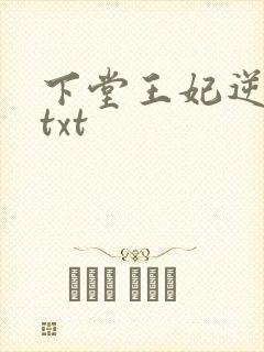 下堂王妃逆袭记txt封面