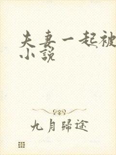 夫妻一起被调教小说