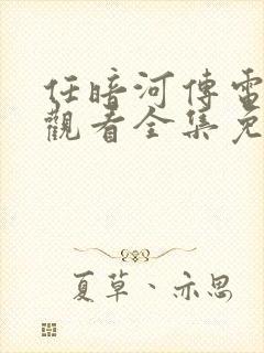 任暗河传电视剧观看全集免费封面