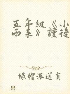 五年级《小英雄雨来》读后感500字6篇