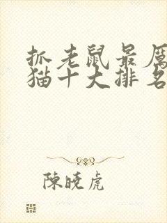 抓老鼠最厉害的猫十大排名封面