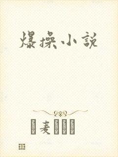 爆操小说
