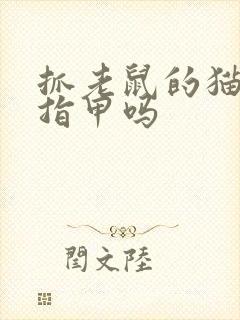 抓老鼠的猫要剪指甲吗封面