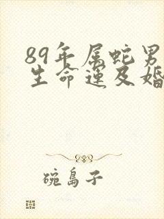 89年属蛇男一生命运及婚姻
