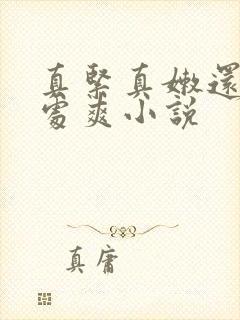 真紧真嫩还是小处爽小说封面