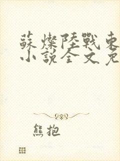 苏灿陆战东穿越小说全文免费阅读封面