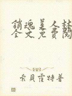 销魂美人林婷婉全文免费阅读小说