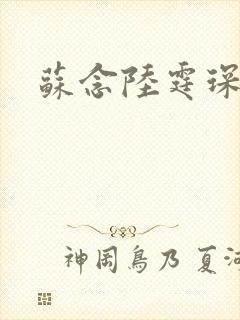 苏念陆霆琛小说