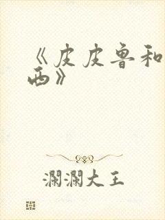 《皮皮鲁和鲁西西》