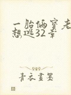 一胎俩宝老婆别想逃32章